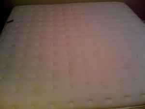 3mb3p73l45Z55W05U3a83623e0791f1171ed0.jpg