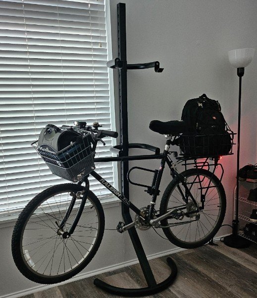 Bike 2.jpg